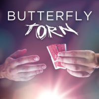 Yvan Garmy - Butterfly Torn
