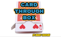 Mario Tarasini - Card through Box