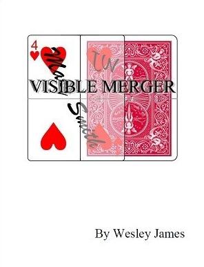 (image for) Wesley James - Visible Merger