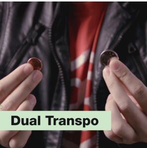 (image for) SansMinds - Dual Transpo