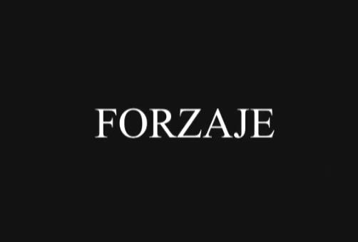 (image for) Marcelo Casmuz - Forzajes (Spanish)