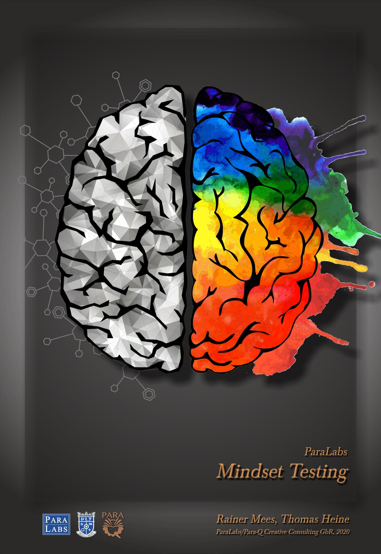 (image for) Rainer Mees, Thomas Heine - Mindset Testing (PDF)
