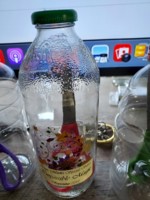 Mark R. Gladue - Scissors in Bottle