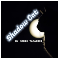 Mario Tarasini - Shadow Cat