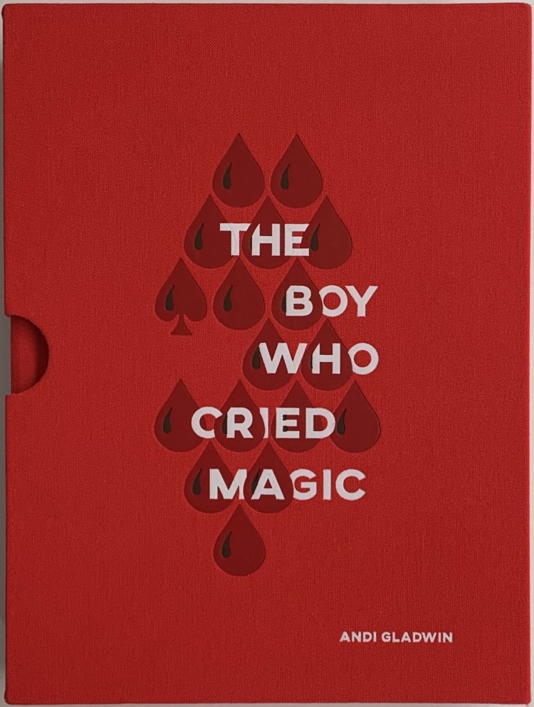 Andi Gladwin - The Boy Who Cried Magic (PDF)