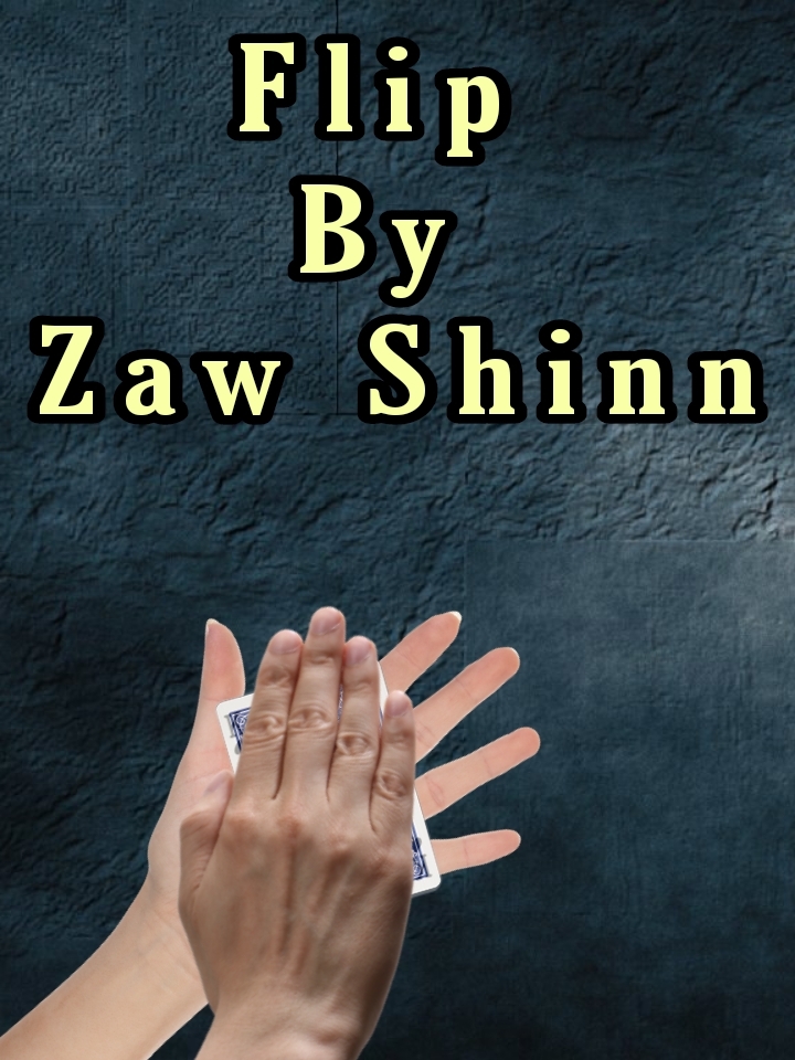 Zaw Shinn - Flip