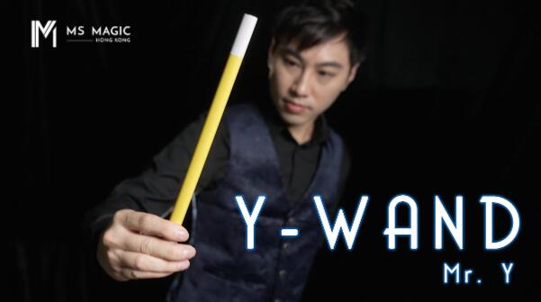 Mr. Y - Y Wand