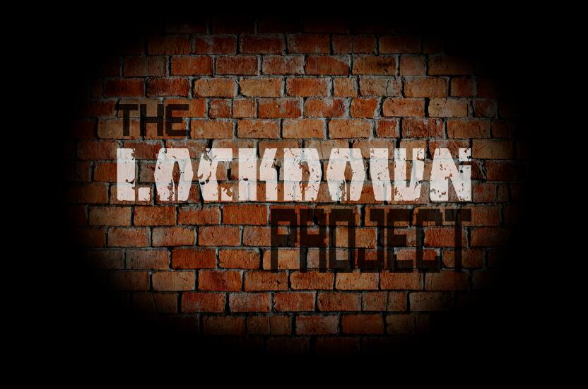 Ian Hamilton - The Lockdown Project