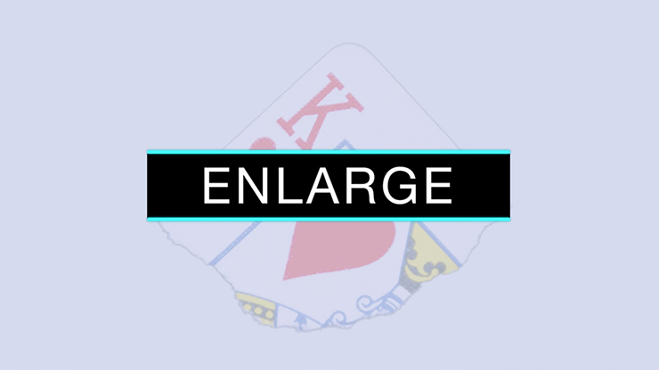 (image for) SansMinds Creative Lab - Enlarge