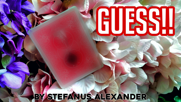 (image for) Stefanus Alexander - Guess!!