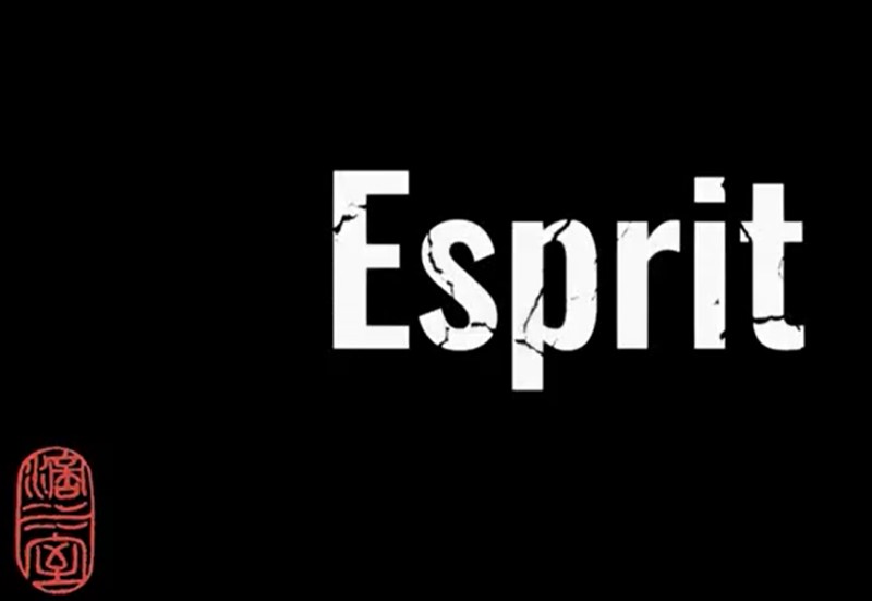 (image for) Mathieu Bich - Esprit