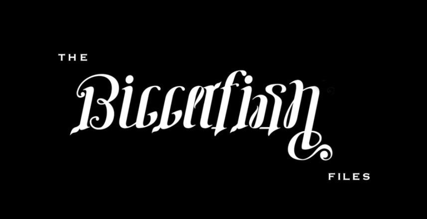 Peter Turner - Bigger Fish Files