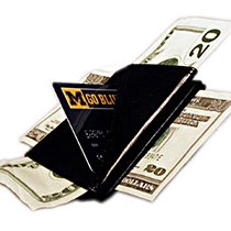 (image for) Fun Incorporated - Double Crossed Dollars