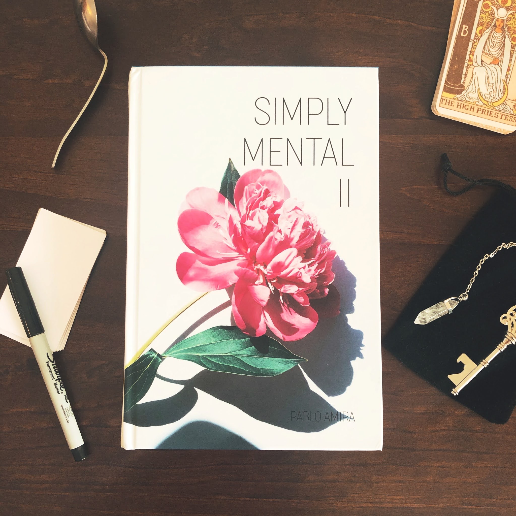 Pablo Amira - Simply Mental II