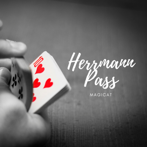 (image for) Magicat - Herrmann Pass