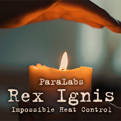 Paralabs - Rex Ignis 2.0