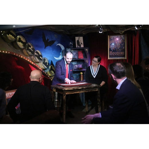 Alakazam Online Magic Academy - Will Houstoun Academy - Dr Houstoun on Cards Two Day Course