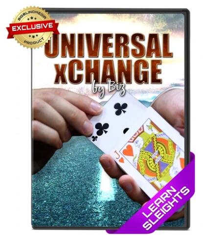 (image for) Biz - The Universal xChange