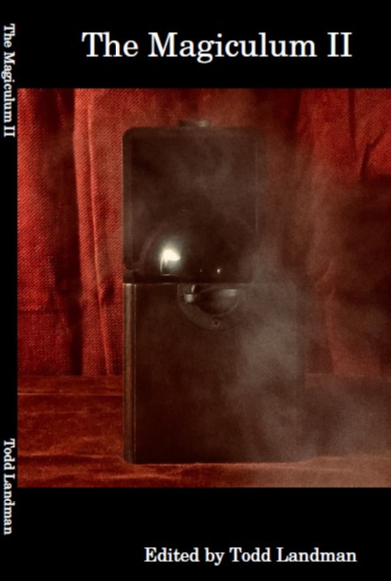 Todd Landman - The Magiculum II