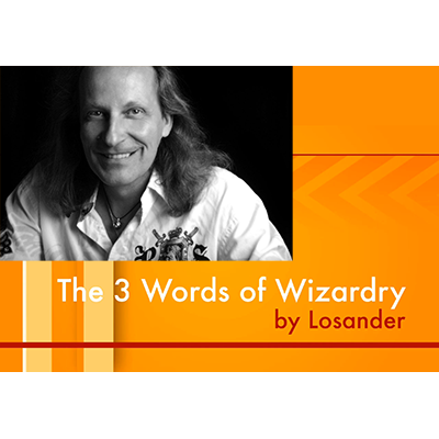 (image for) Dirk Losander - The Three Words of Wizardry