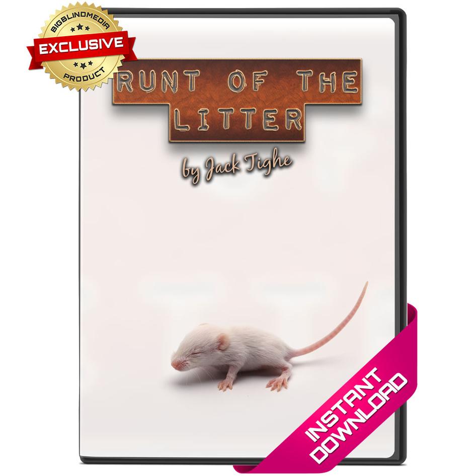 (image for) Jack Tighe - Runt Of The Litter