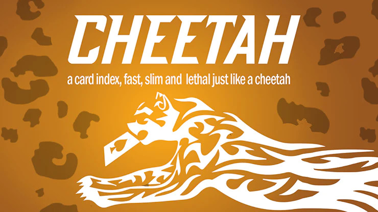 Berman Dabat & Michel & Vernet - Cheetah