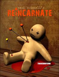 (image for) Paul Brignall - REiNCARNATE Book Test