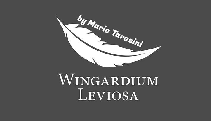 Mario Tarasini - Wingardium Leviosa
