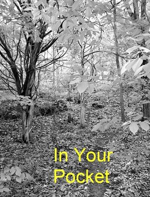 Ken Muller - In Your Pocket