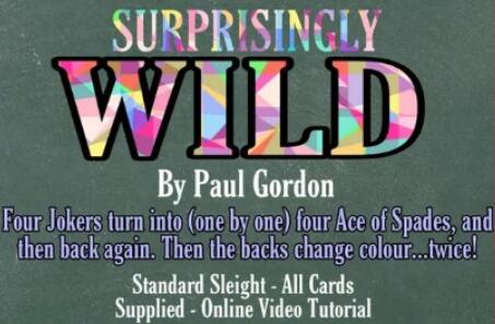 Paul Gordon - Surprisingly Wild