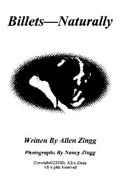 (image for) Allen Zingg - Billets Naturally
