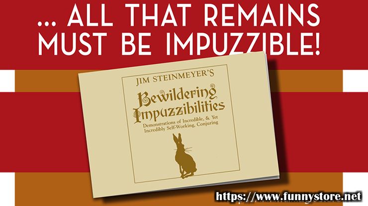 Jim Steinmeyer - Bewildering Impuzzibilities
