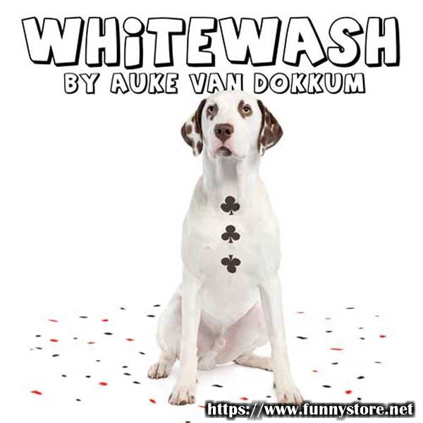 (image for) Auke Van Dokkum - Whitewash