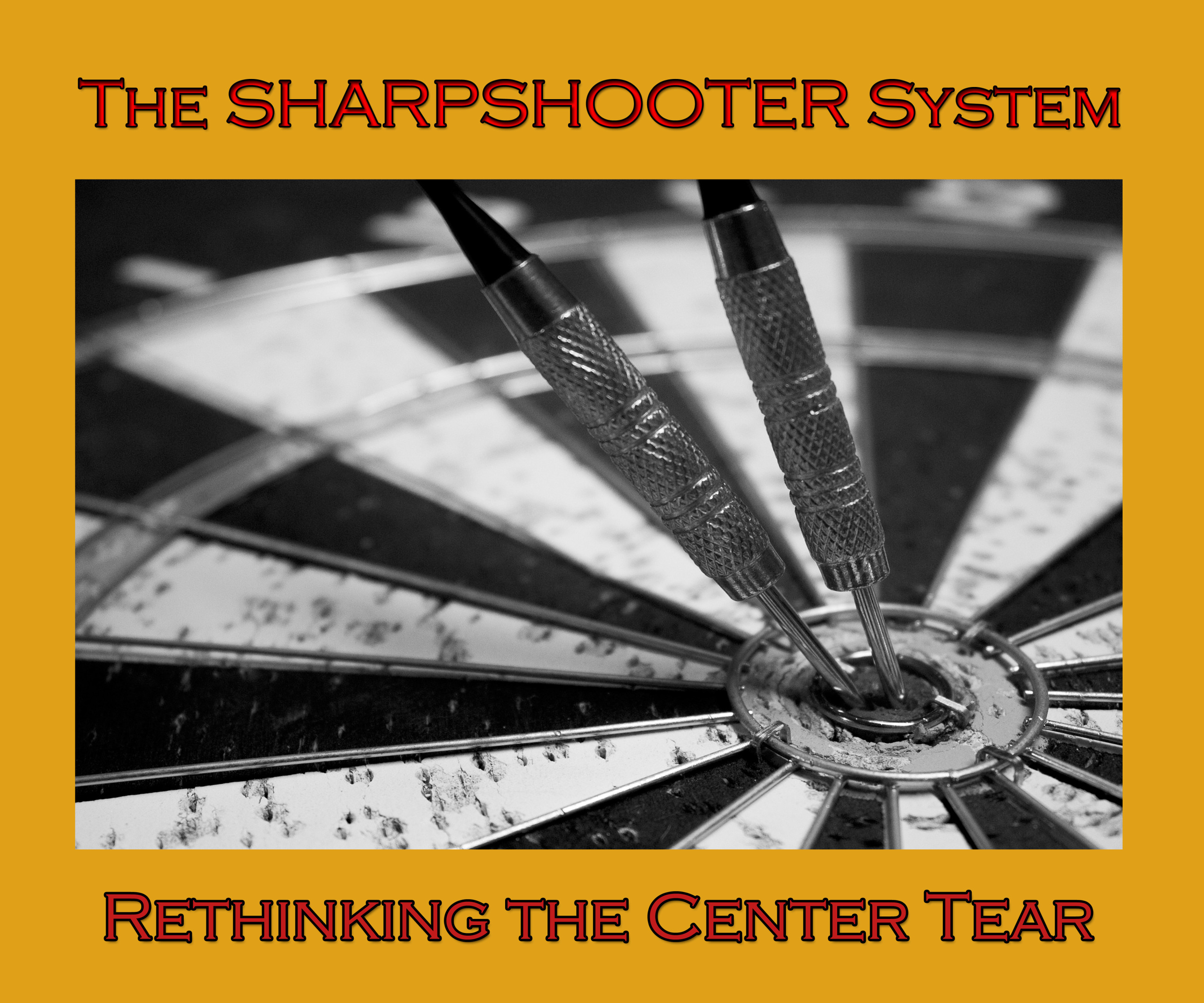 (image for) David Thiel & Sheree Zielkesheree - The Sharpshooter System