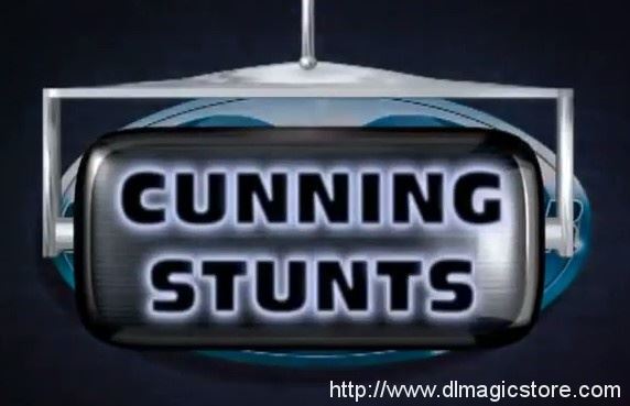 (image for) Tim Ellis & Sue-Anne Webster - Cunning Stunts