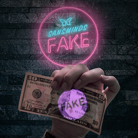 SansMinds Creative Lab - Fake