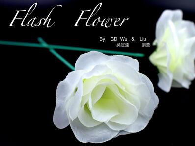 GD Wu - White Flash Flower