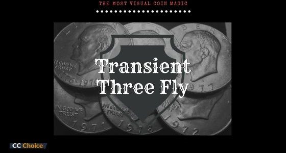 Adam Grace - Transient Coins