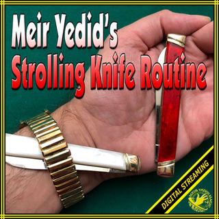 Meir Yedid - Strolling Knife Routine