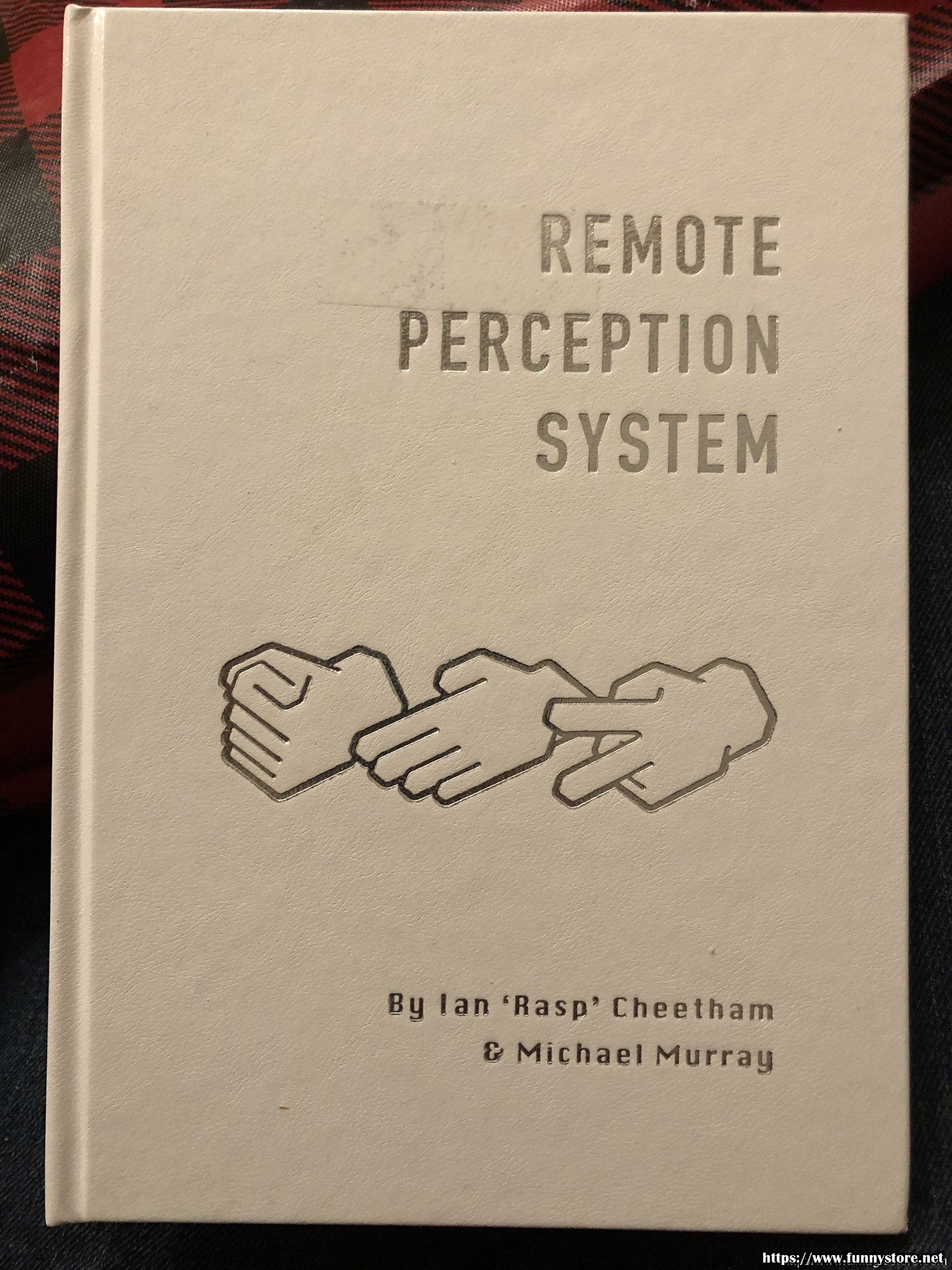 Michael Murray - Remote Perception System