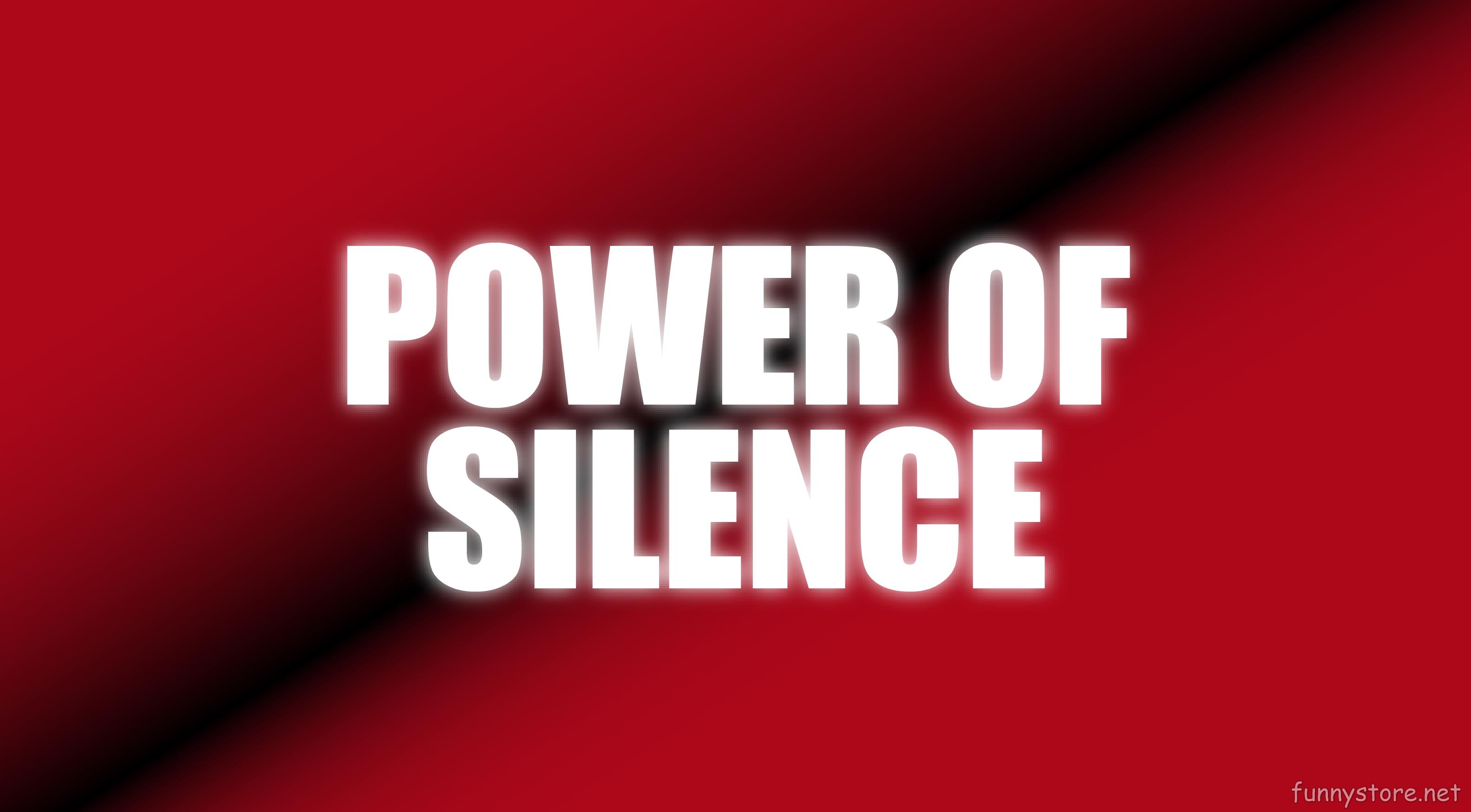 (image for) Wayne Goodman - Power Of Silence (Netrix)