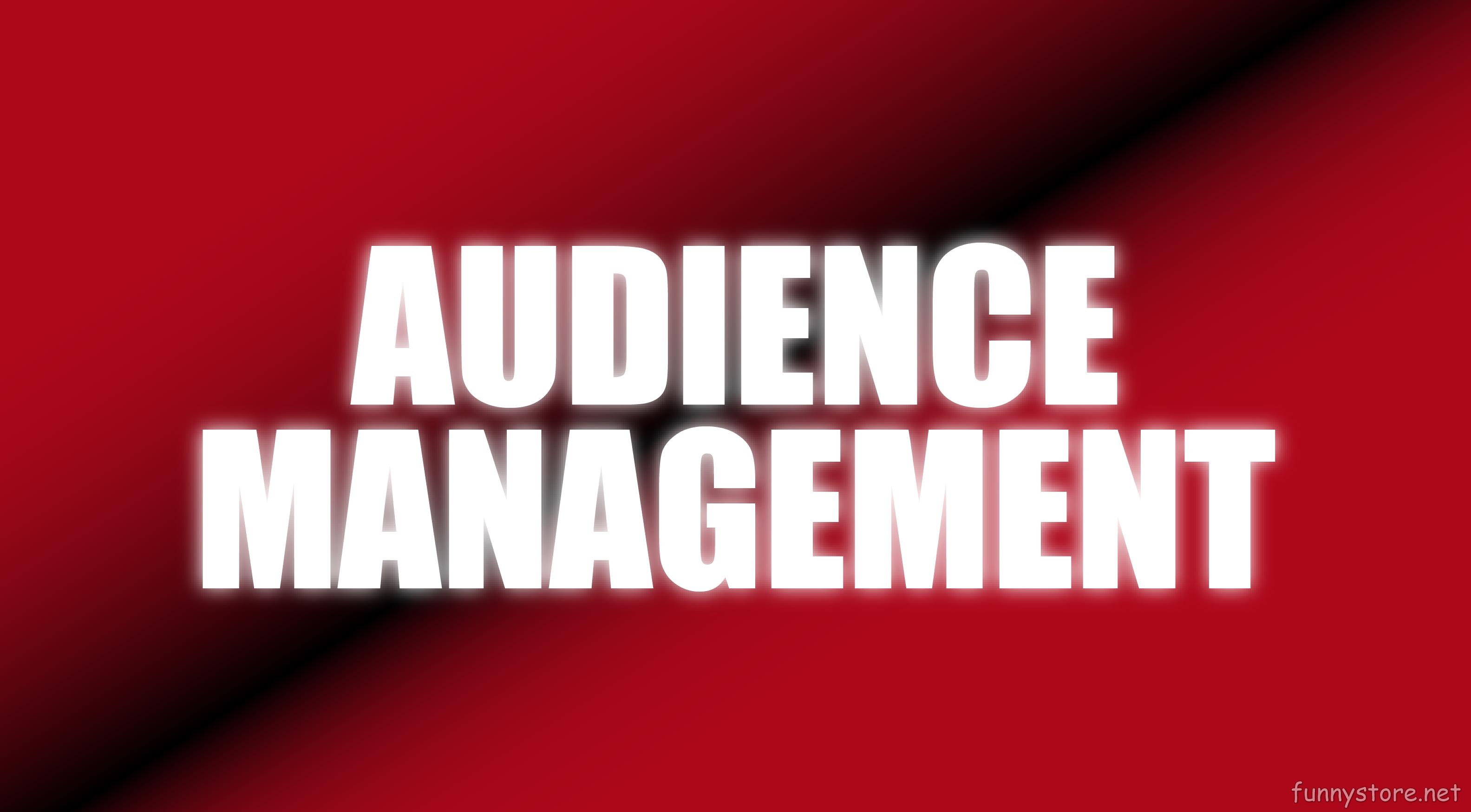 (image for) Wayne Goodman - Audience Management (Netrix)