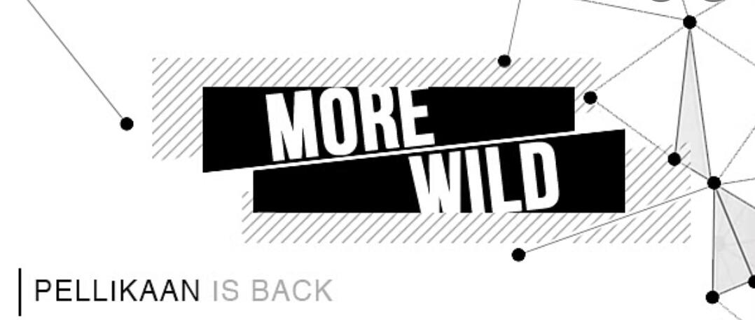 Peter Pellikaan - More Wild