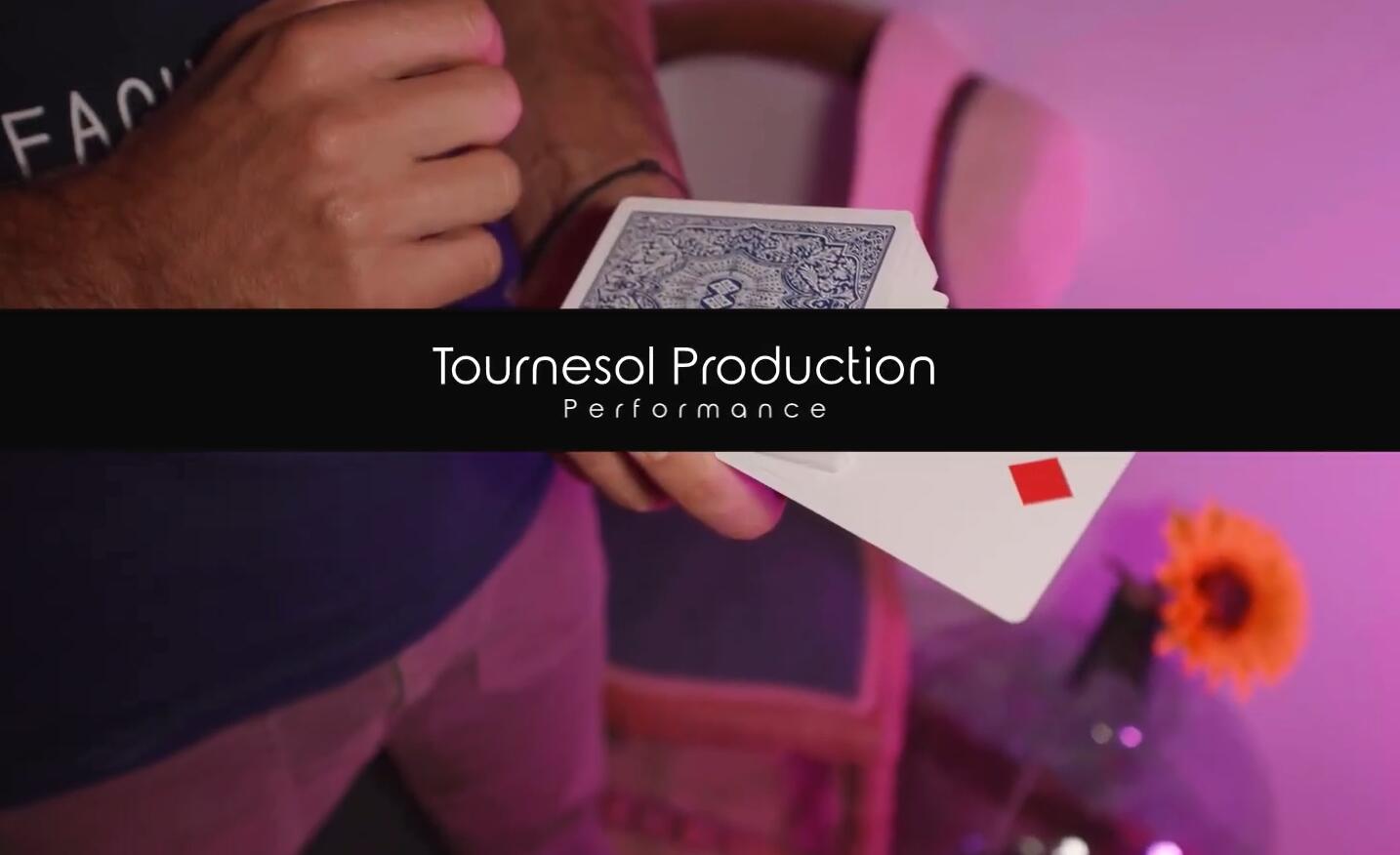 (image for) Yoann Fontyn - Tournesol