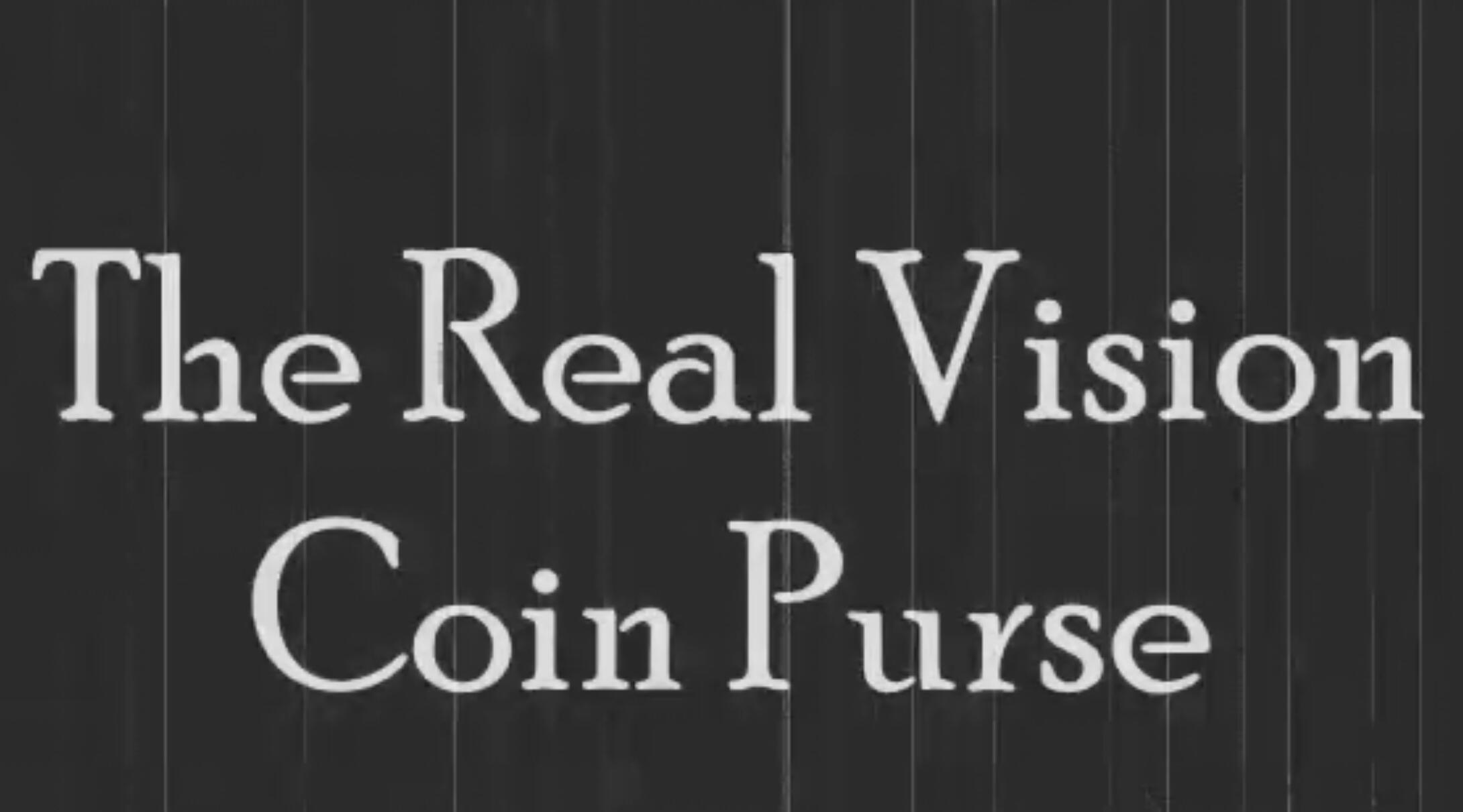 Airship Magic - The Real Vision Coin Purse