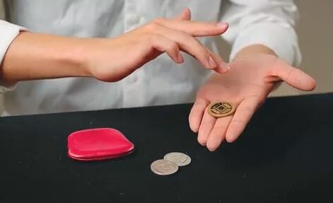 Coinludens - Purse Wild Coin