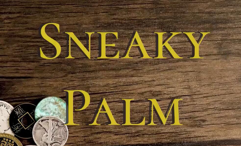 Danny Goldsmith - Sneaky Palm