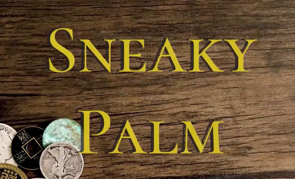 Danny Goldsmith - Sneaky Palm