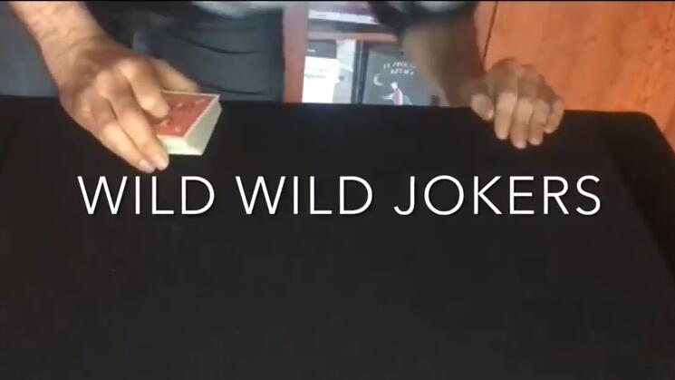 (image for) Joaquin Matas - Wild Wild Jokers