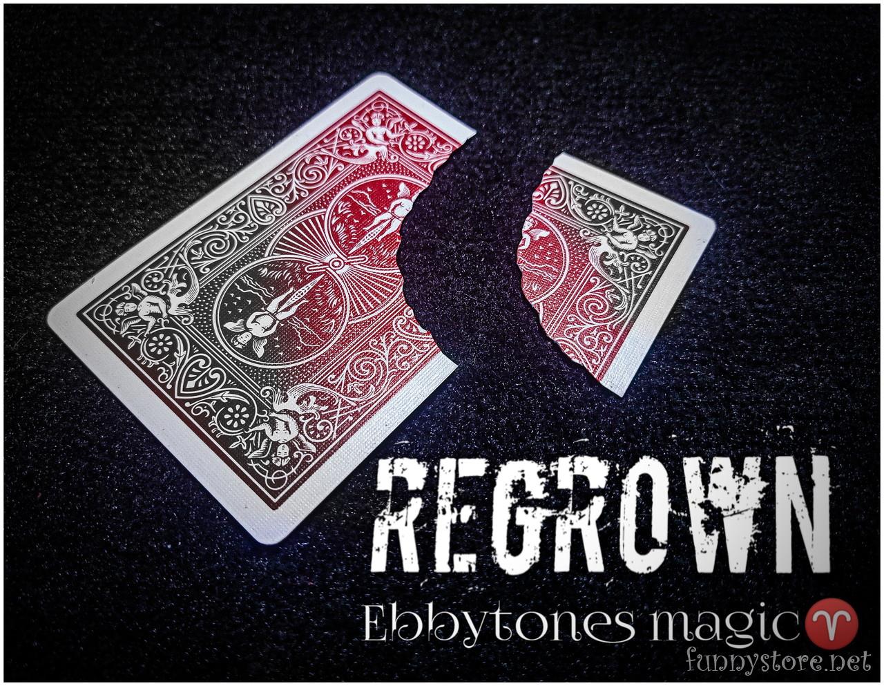 Ebbytones - Regrown